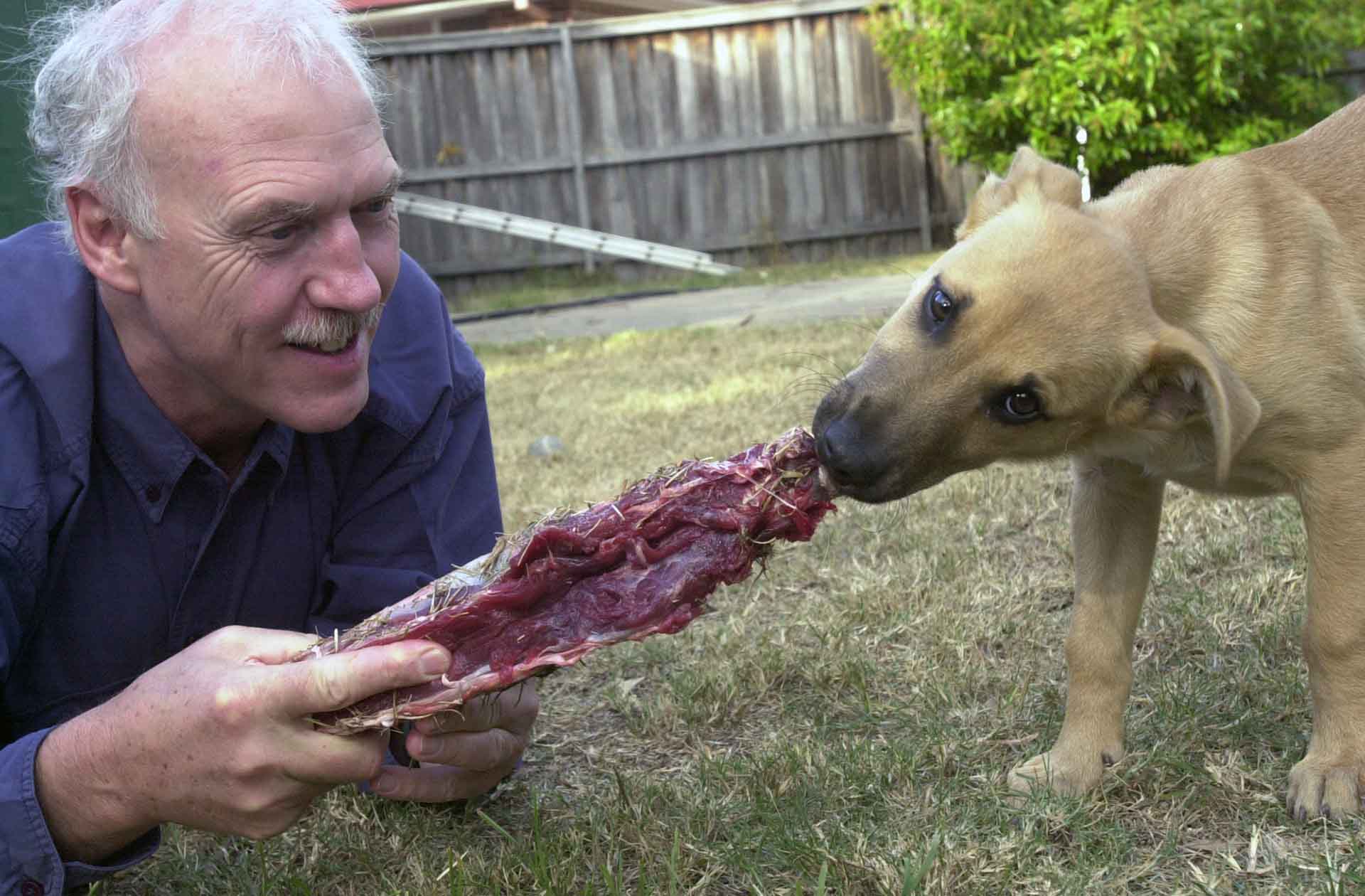 raw-meaty-bones-essentials-the-pet-food-con